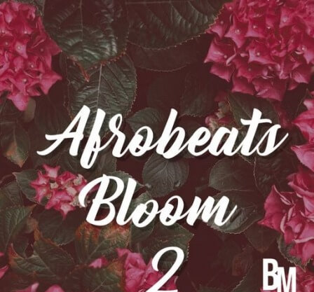 HOOKSHOW Afrobeats Bloom 2 WAV